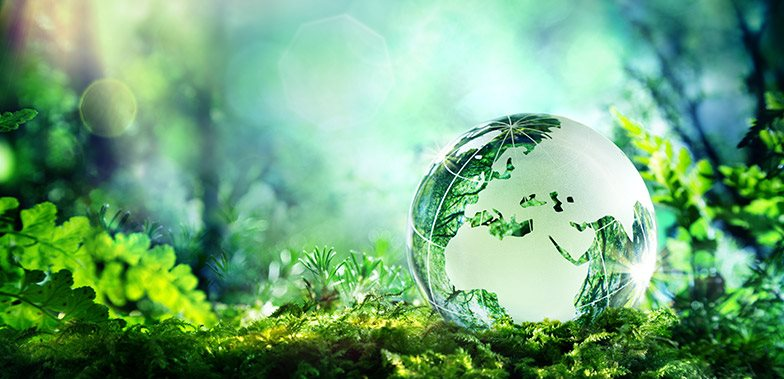 Sustainability Hero Background
